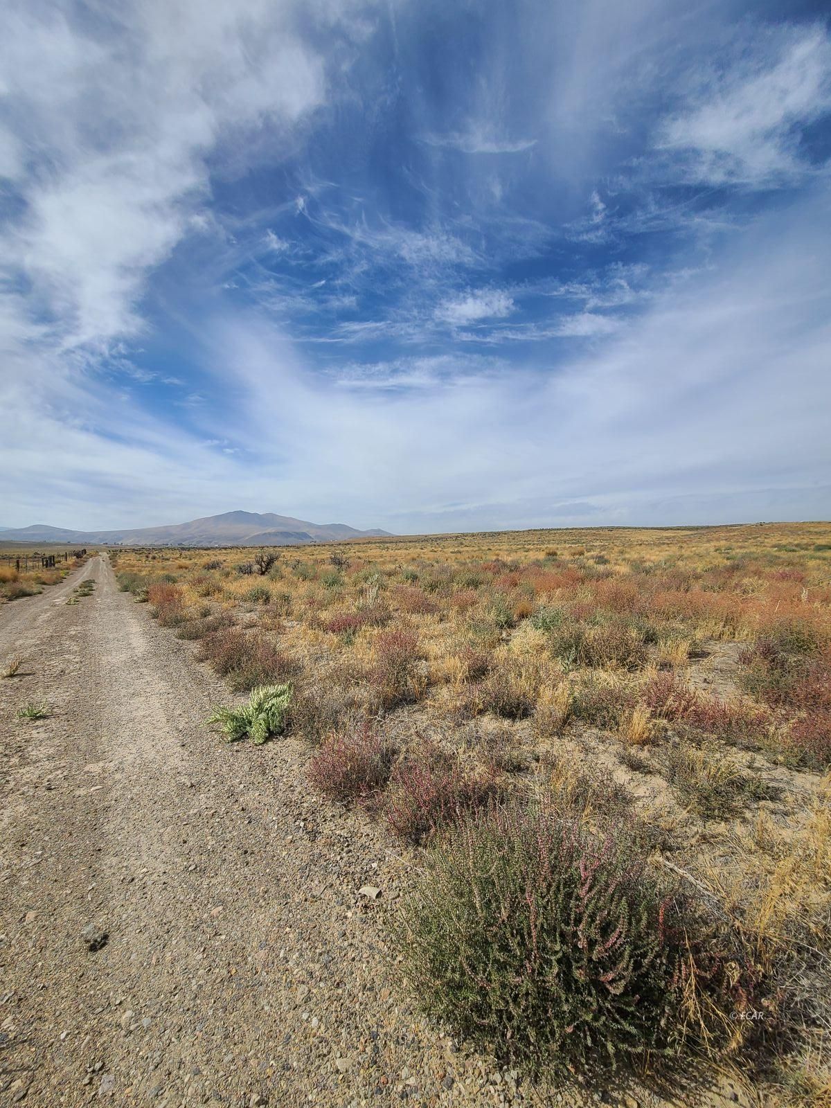 TBD Filmore Avenue Property Photo 1