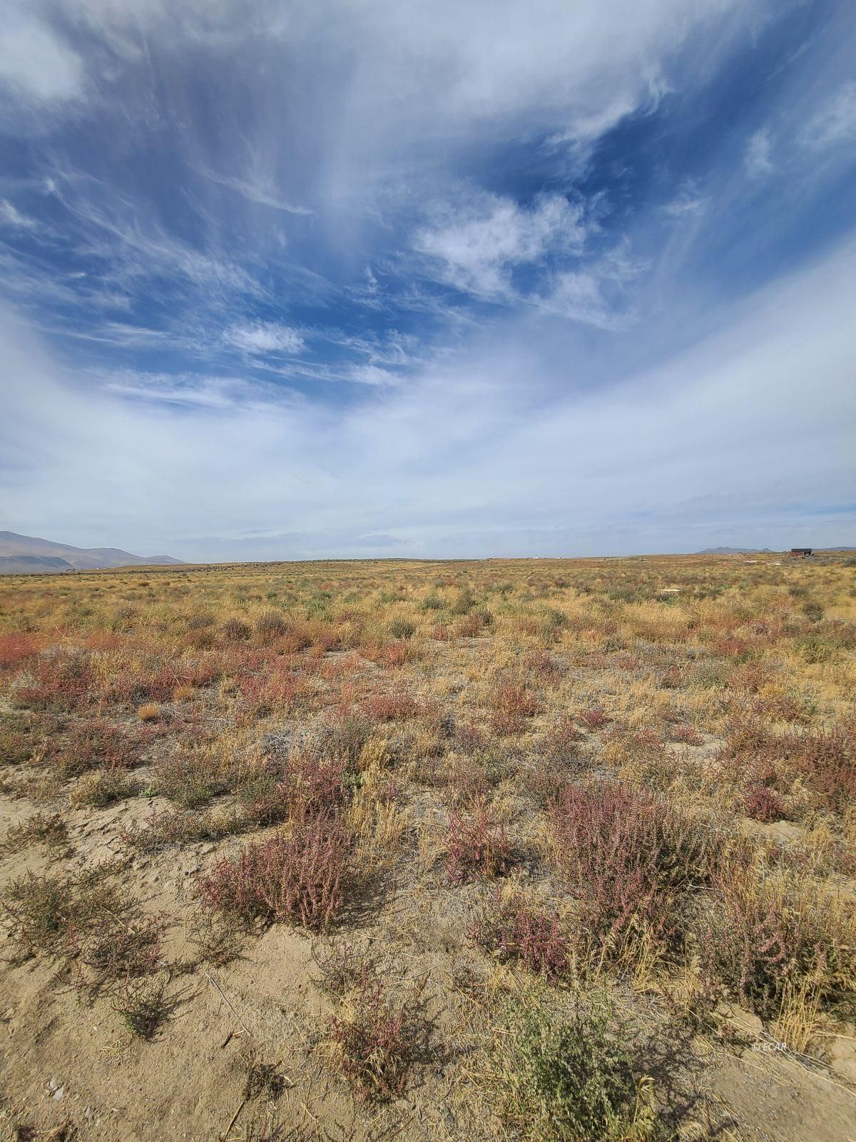 Tbd Filmore Avenue Property Photo 2