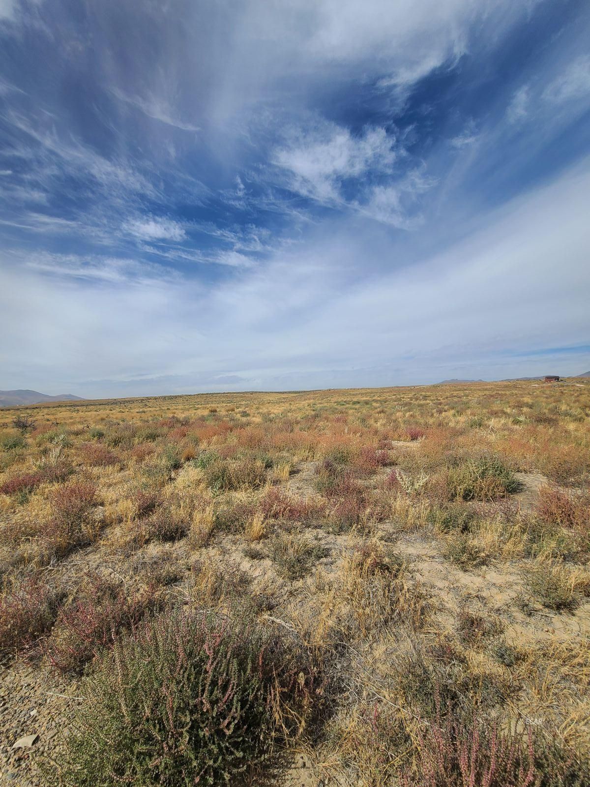 Tbd Filmore Avenue Property Photo 4