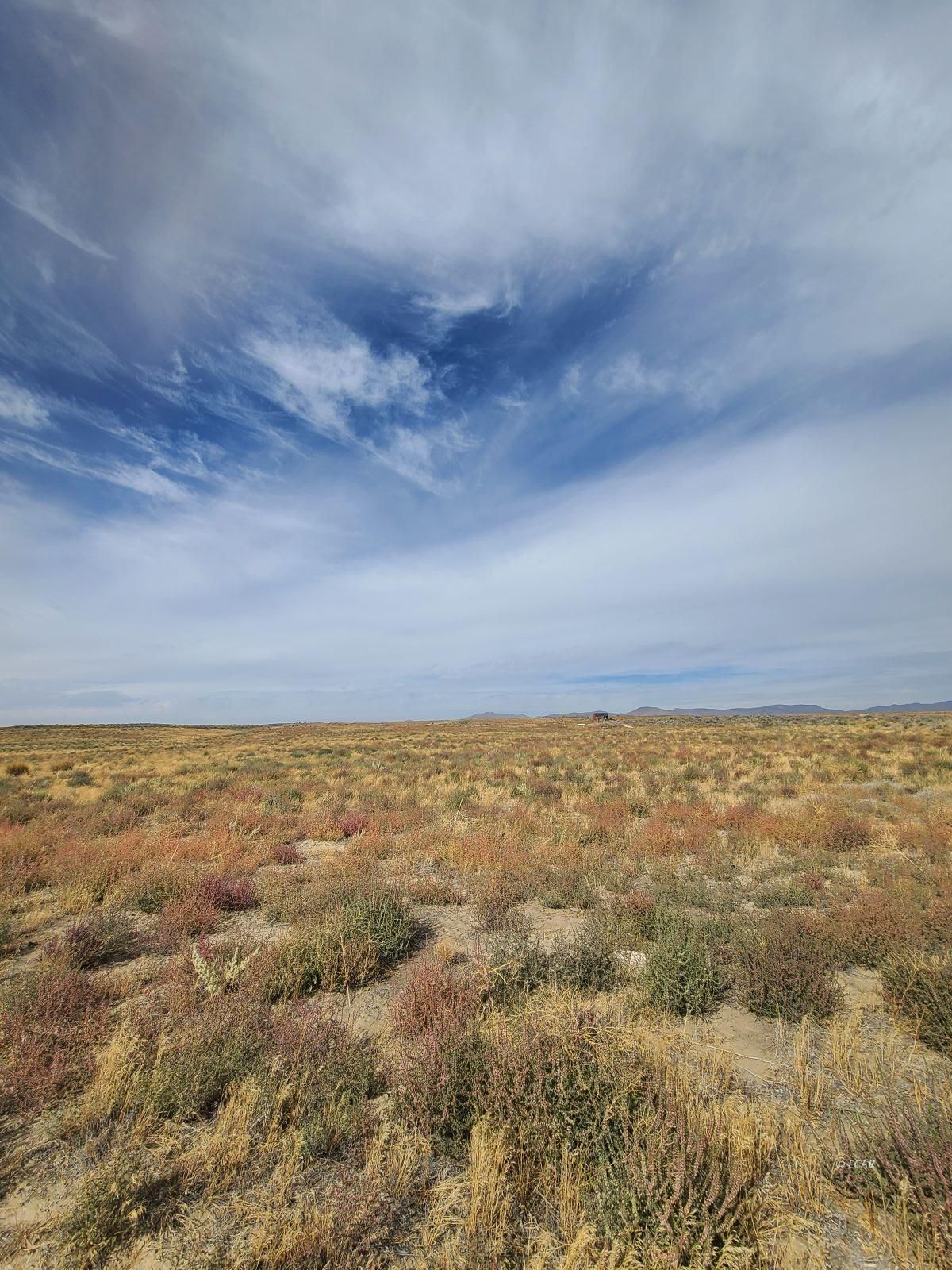 Tbd Filmore Avenue Property Photo 5