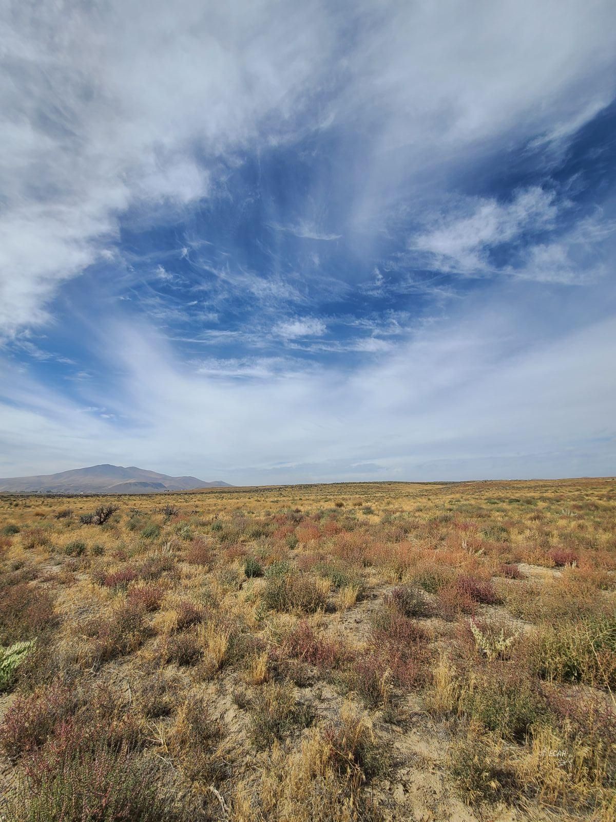 Tbd Filmore Avenue Property Photo 6