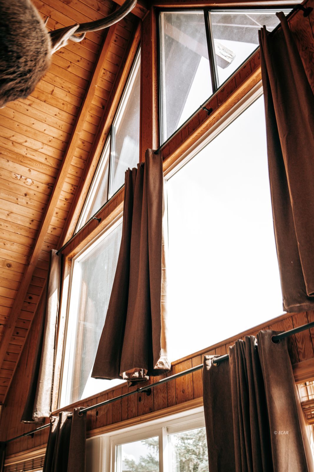 599 Wolf Creek Drive Property Photo 9