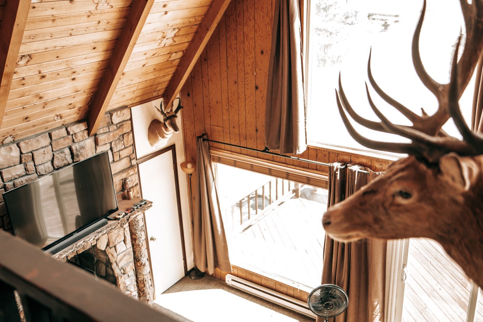 599 Wolf Creek Drive Property Photo 20