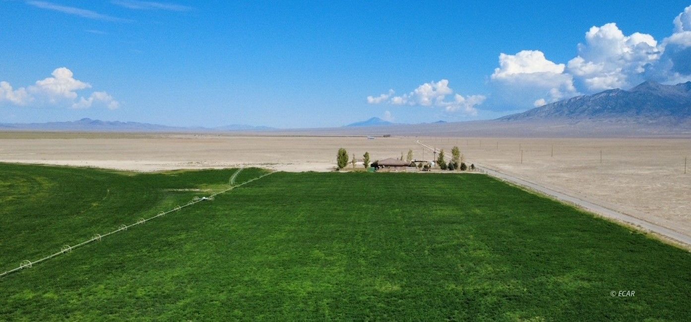 1199 Fire Station Road S Property Photo 1