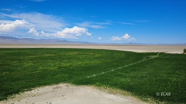 1199 Fire Station Road S Property Photo 2