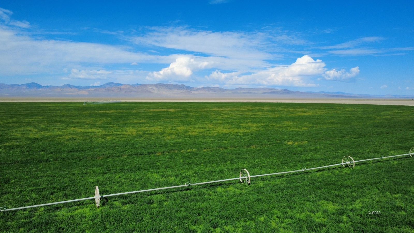 1199 Fire Station Road S Property Photo 3