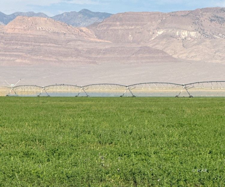 1199 Fire Station Road S Property Photo 4