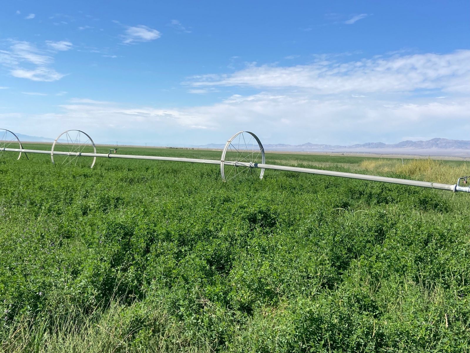 1199 Fire Station Road S Property Photo 5