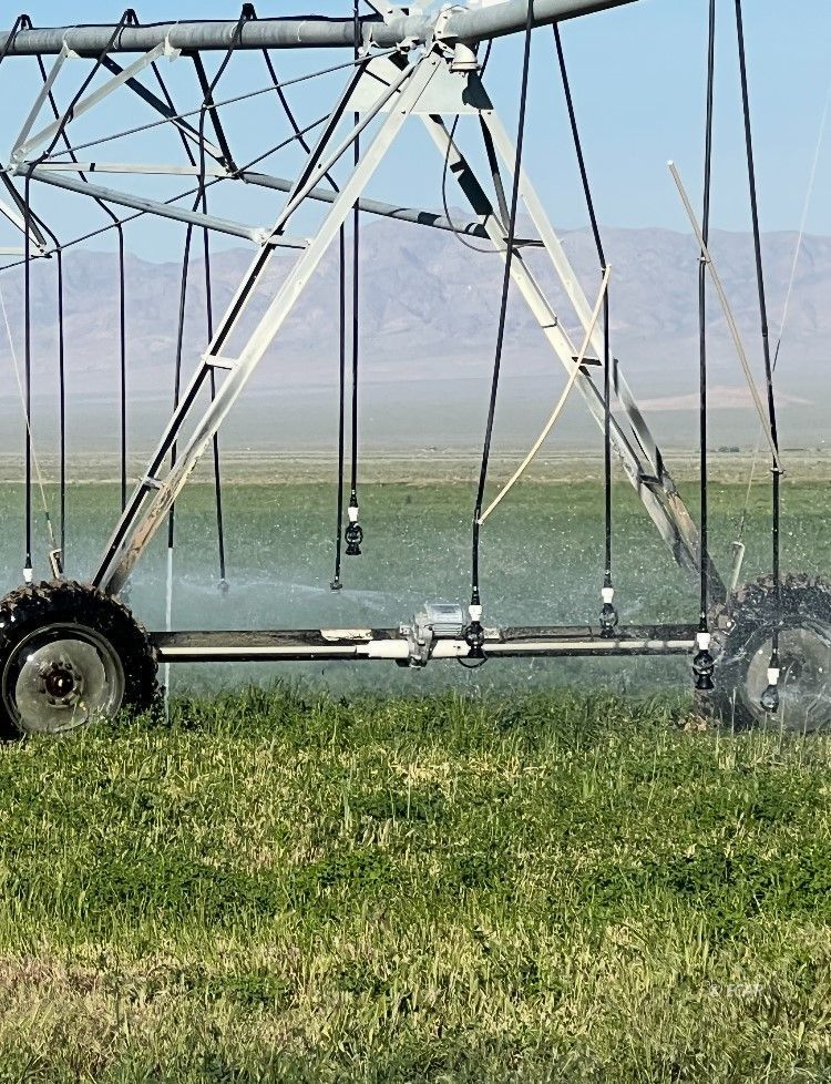 1199 Fire Station Road S Property Photo 6