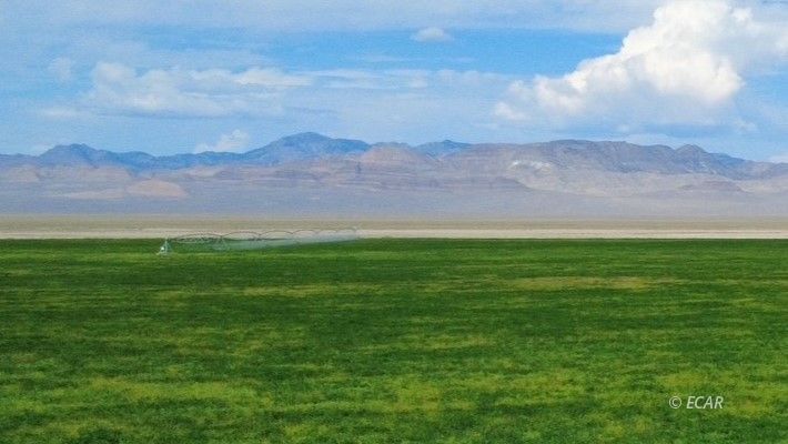 1199 Fire Station Road S Property Photo 25