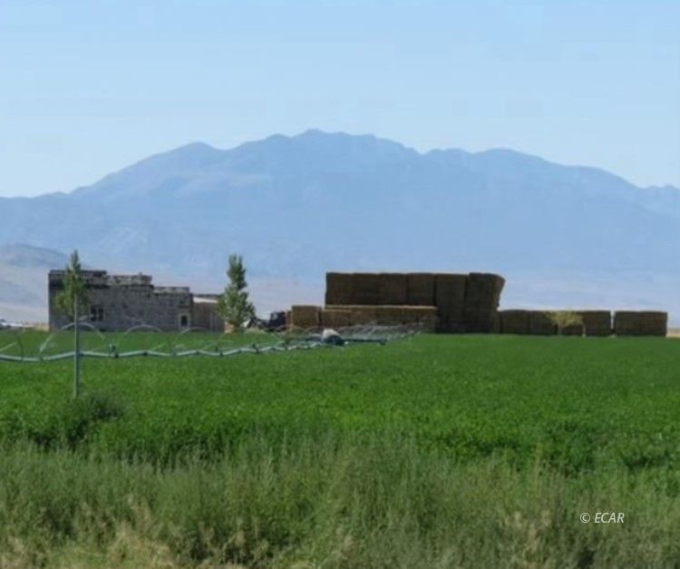 1199 Fire Station Road S Property Photo 28