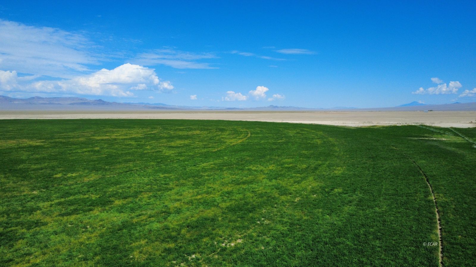 1199 Fire Station Road S Property Photo 29