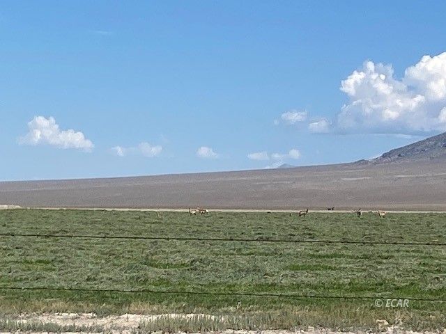 1199 Fire Station Road S Property Photo 39