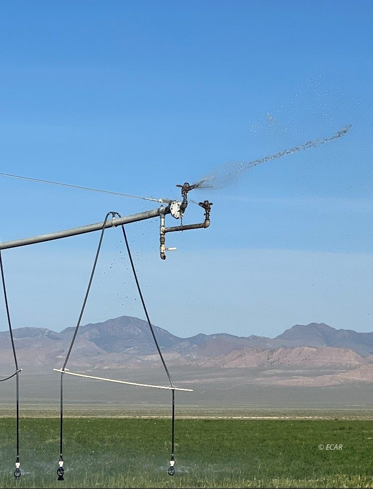 1199 Fire Station Road S Property Photo 41