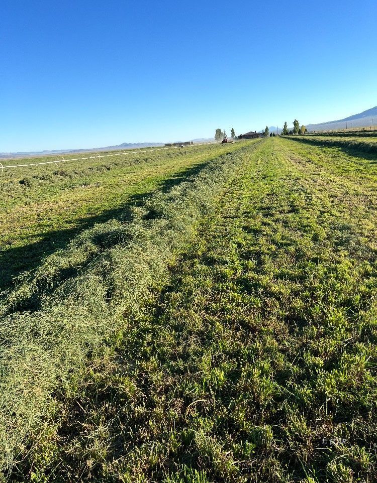 1199 Fire Station Road S Property Photo 42