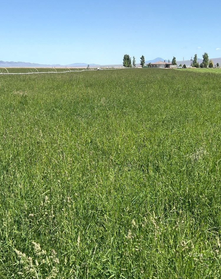 1199 Fire Station Road S Property Photo 43