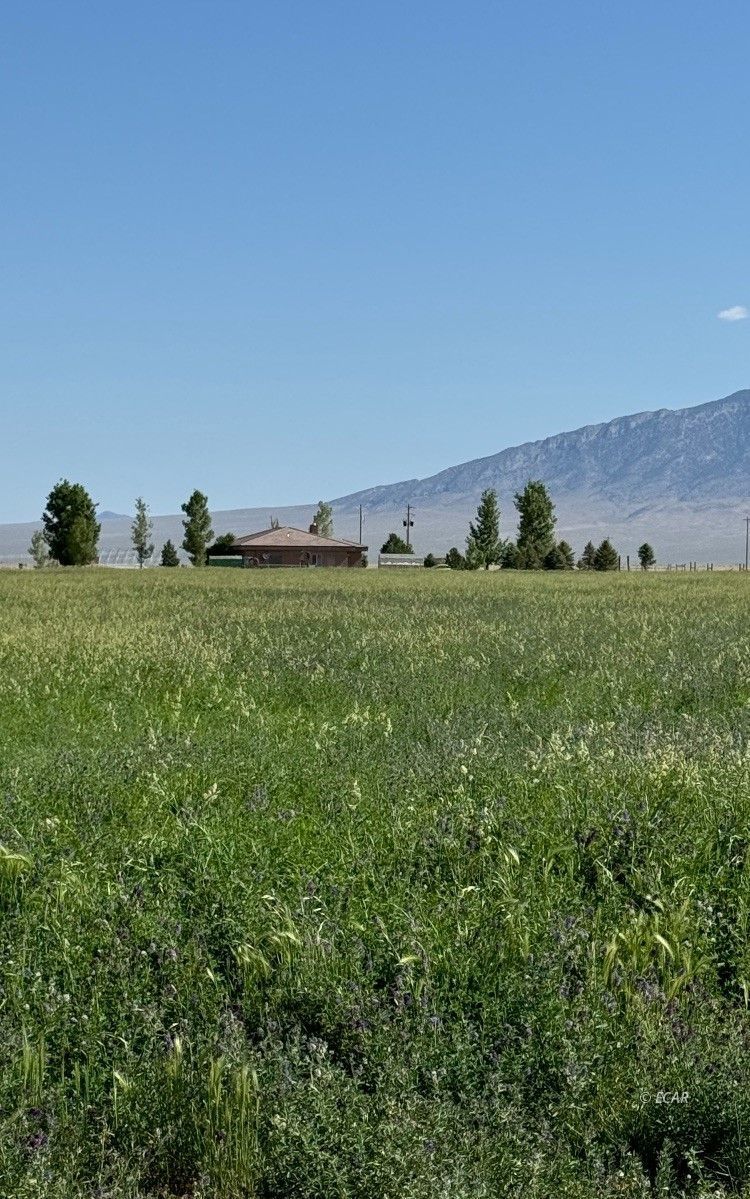 1199 Fire Station Road S Property Photo 44