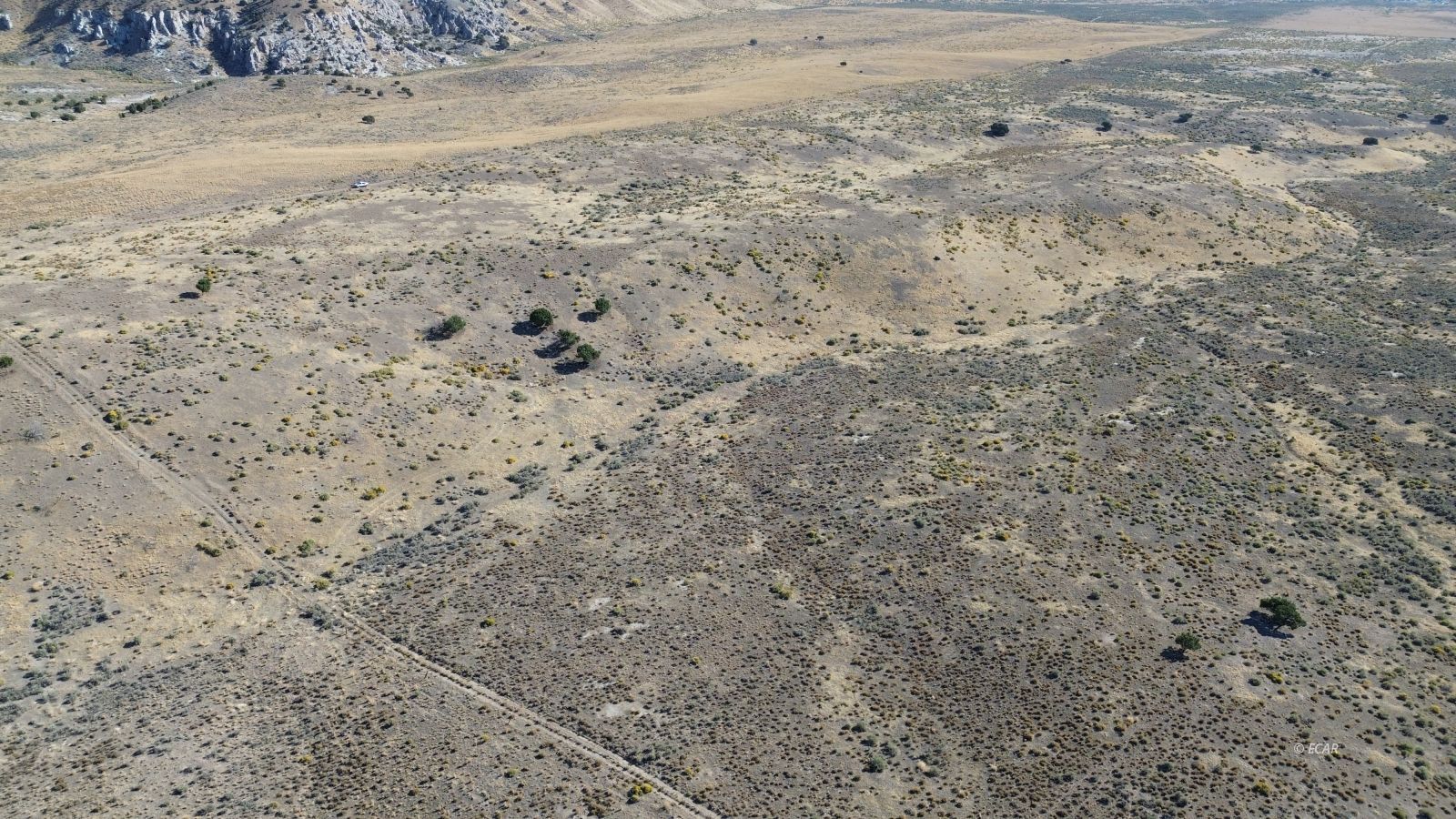 037 Geranium Street Property Photo 3