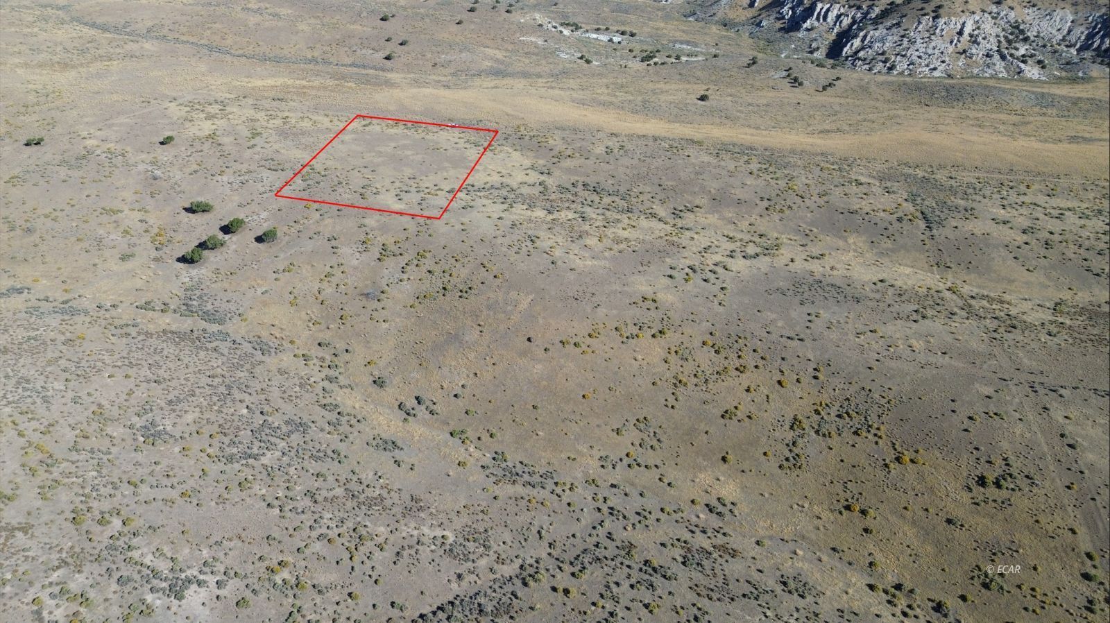 037 Geranium Street Property Photo 4