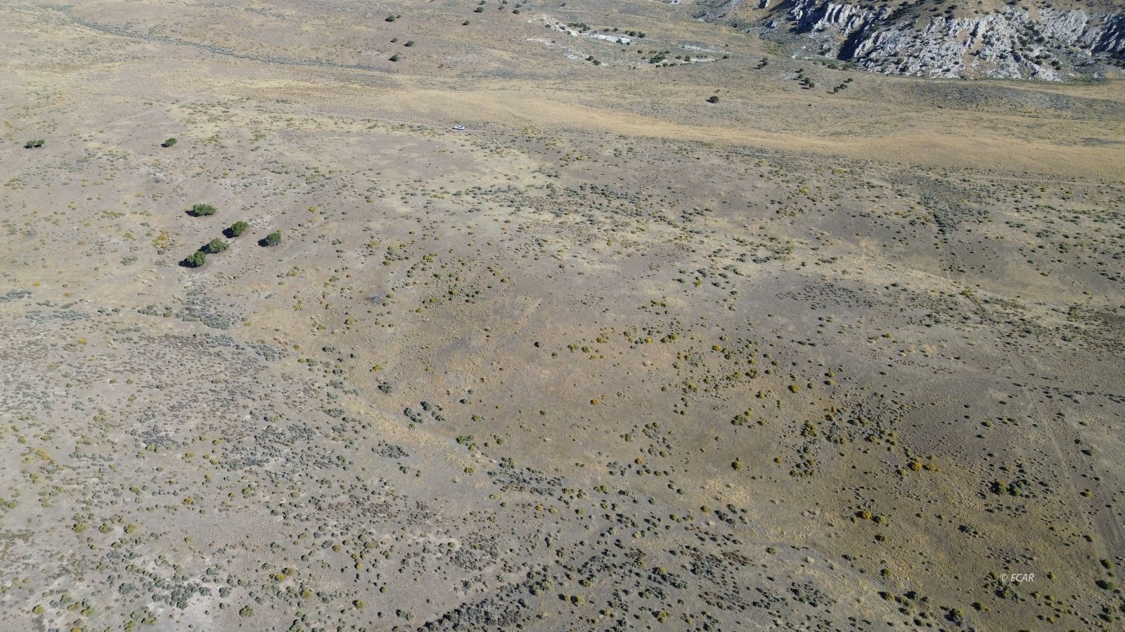 037 Geranium Street Property Photo 5