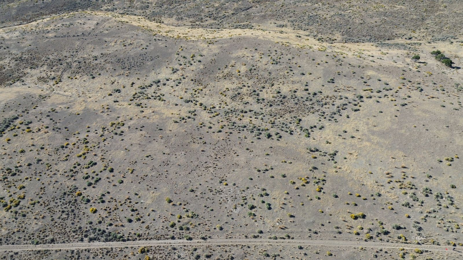 037 Geranium Street Property Photo 10