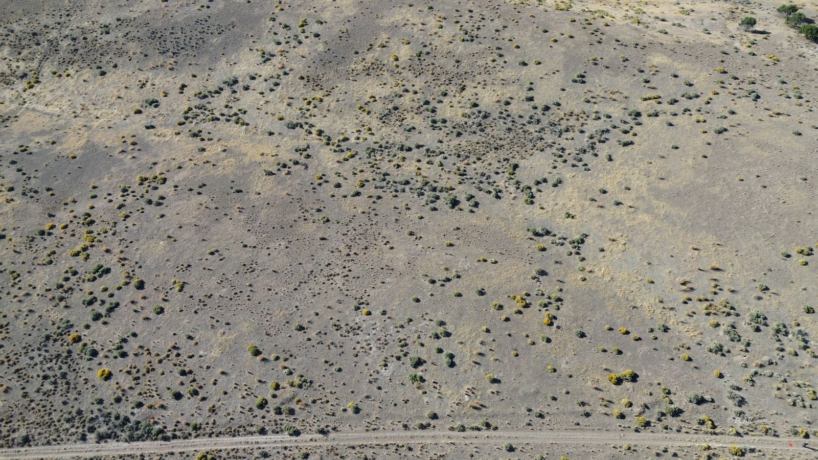 037 Geranium Street Property Photo 11