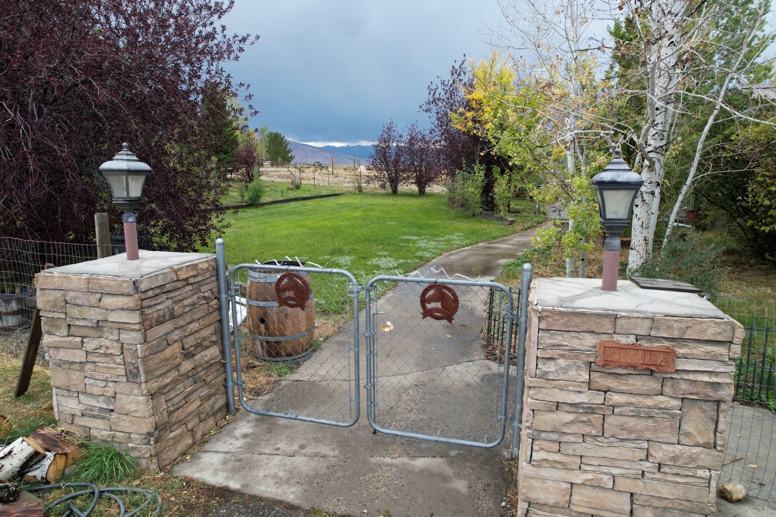 559 Diamondback Drive Property Photo 6