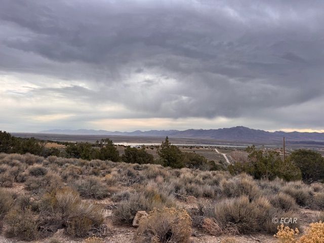 2084 Lee Avenue Property Photo 40