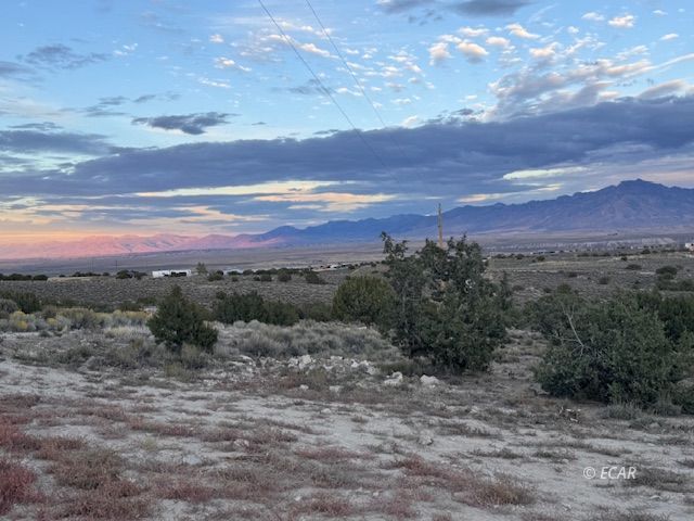 2084 Lee Avenue Property Photo 46