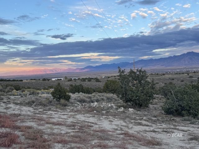 2084 Lee Avenue Property Photo 47