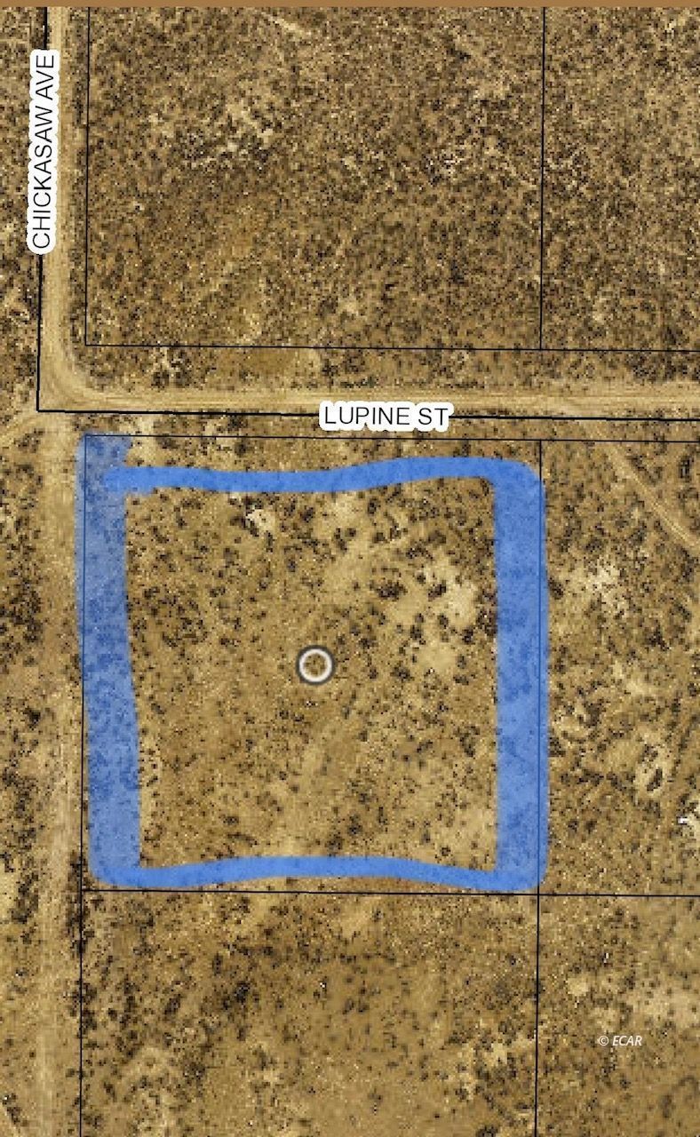 Tbd Lupine/chicksaw Street Property Photo 2