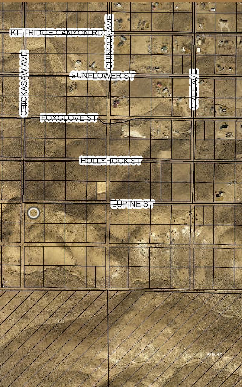 Tbd Lupine/chicksaw Street Property Photo 3