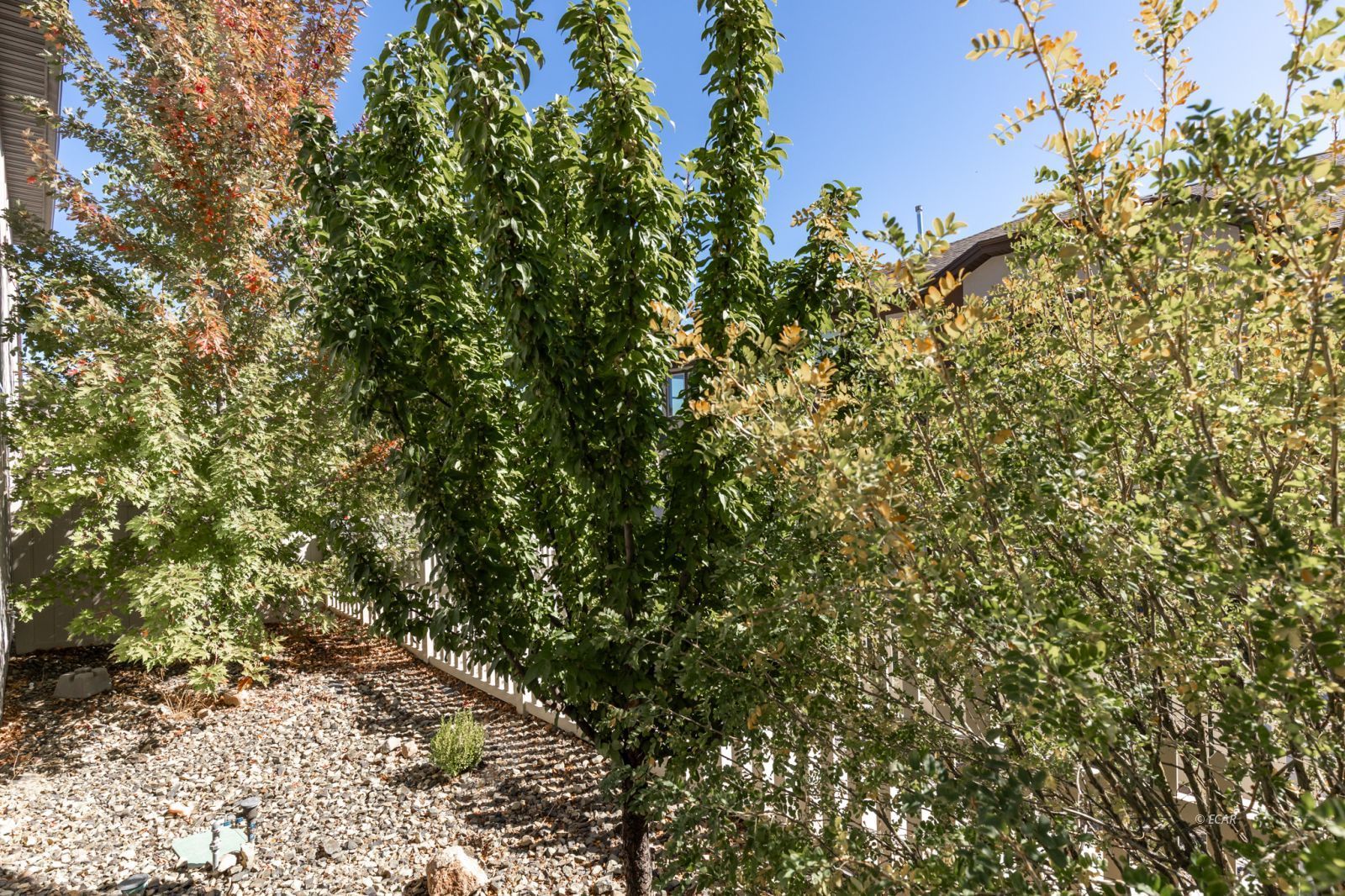 3819 Autumn Colors Drive Property Photo 27