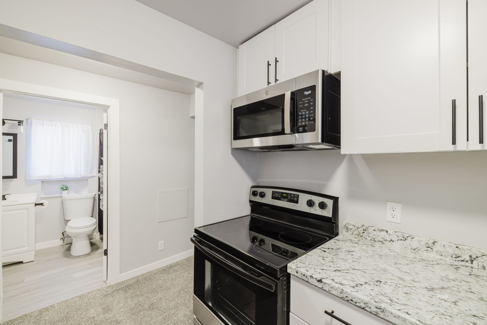 133 W River Street Property Photo 10