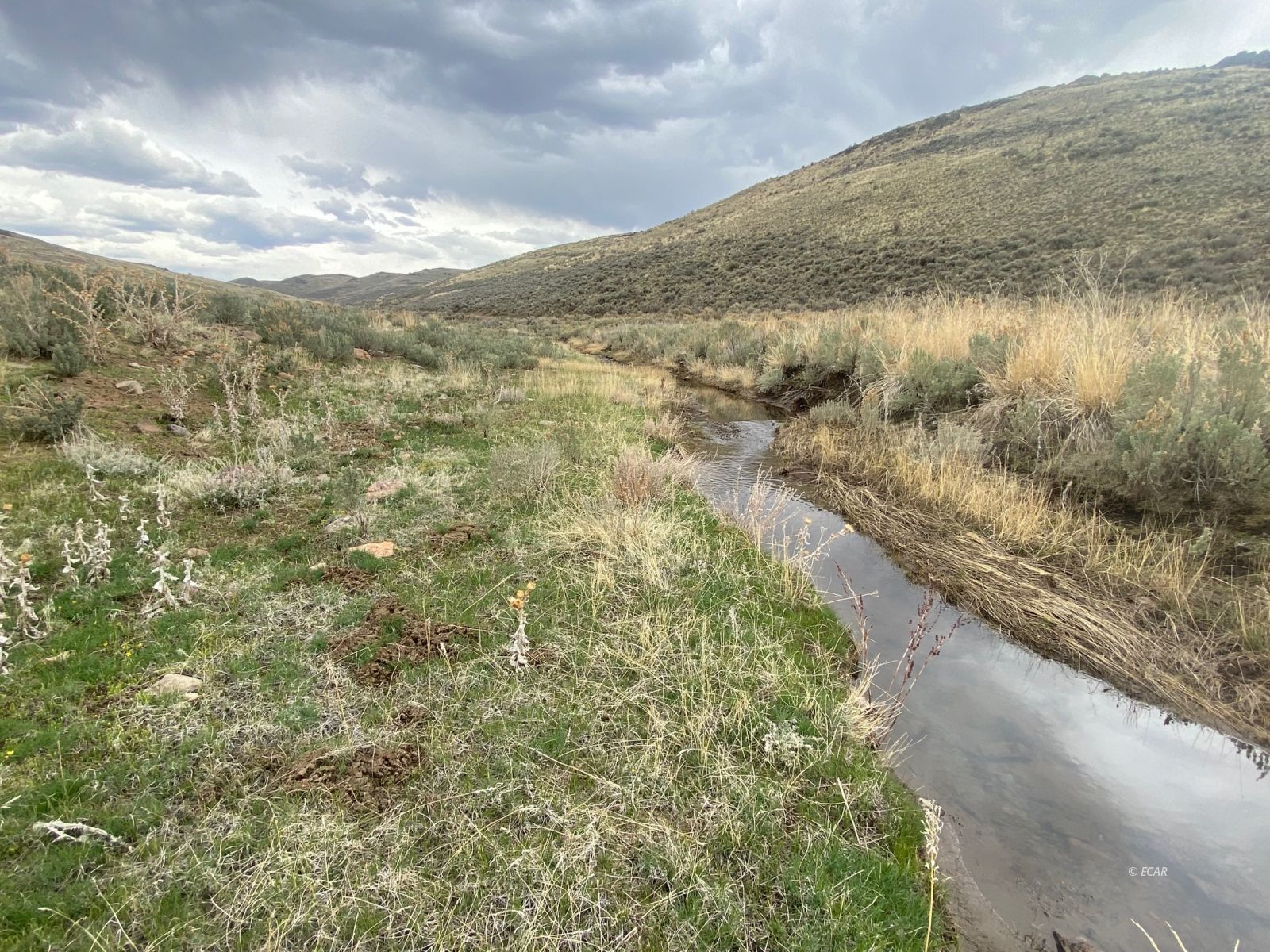 80 Acres Deeth/charleston Road Property Photo 8