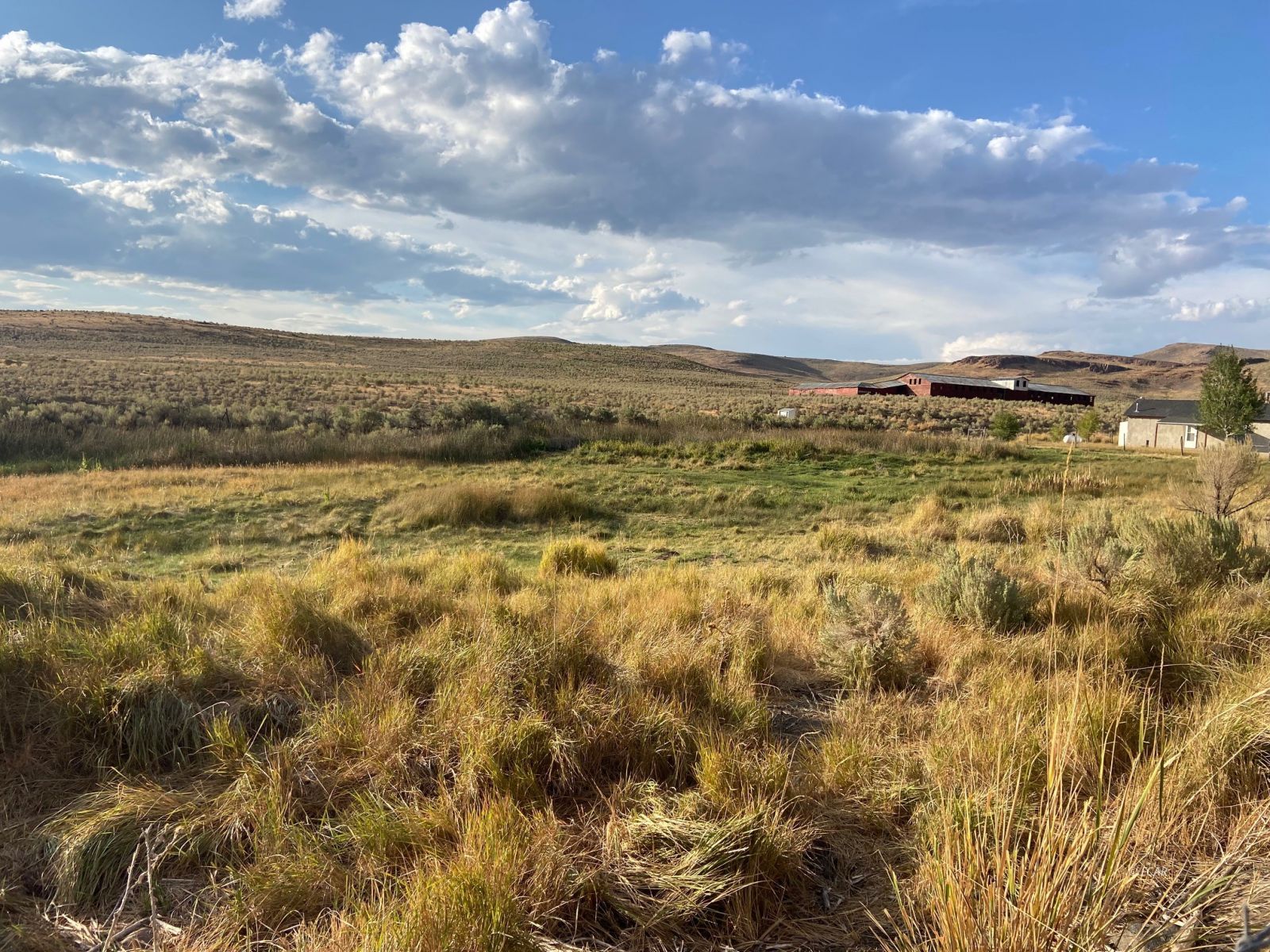 80 Acres Deeth/charleston Road Property Photo 19