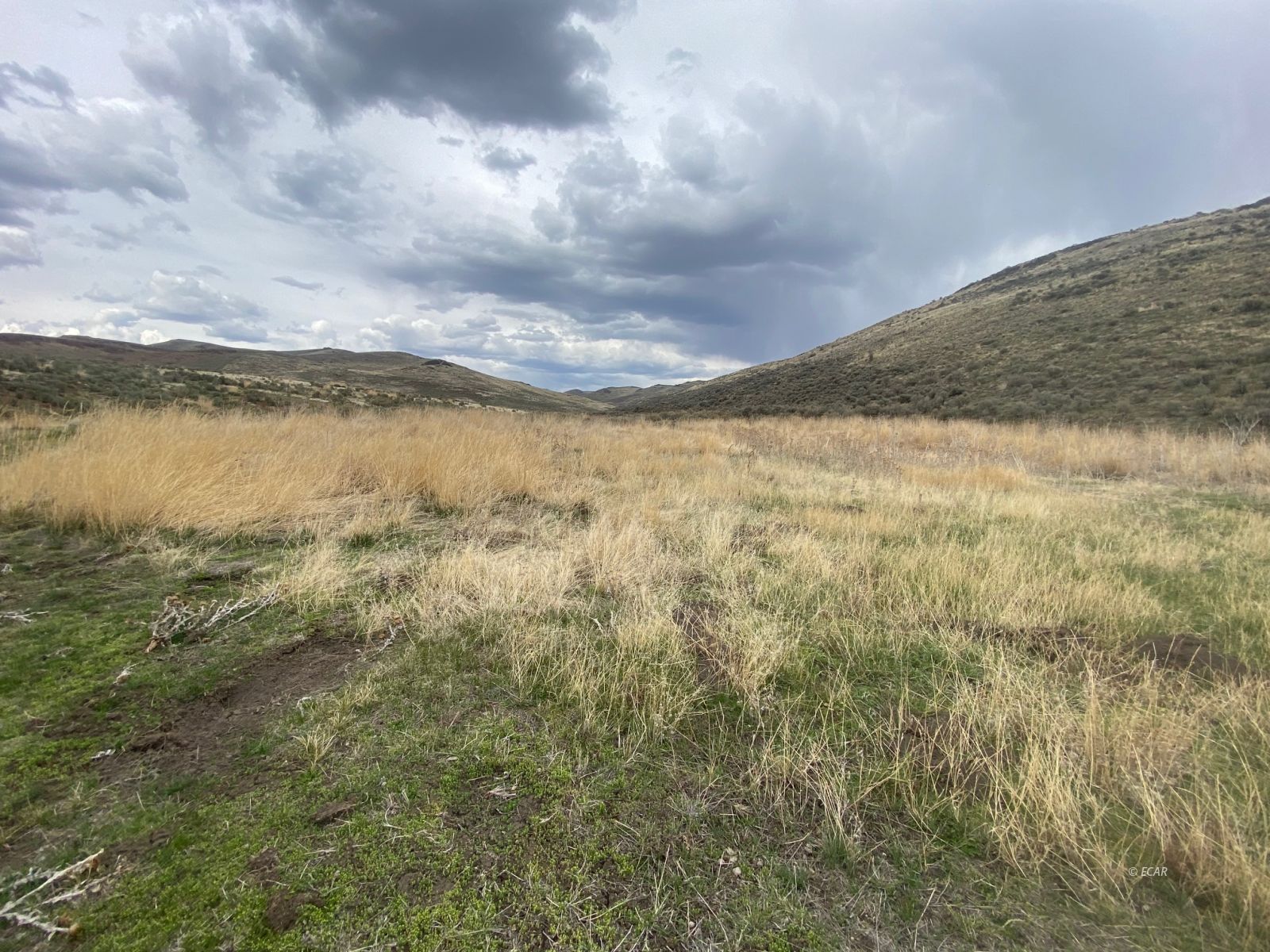 80 Acres Deeth/charleston Road Property Photo 47