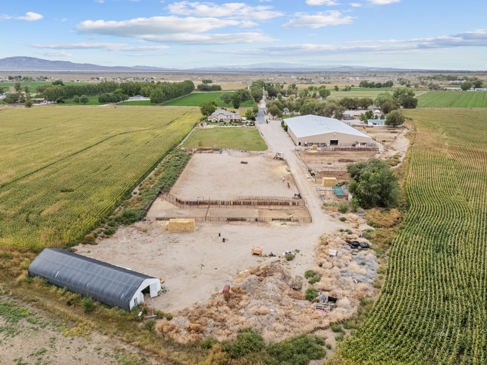 1001 Sheckler Cutoff Road Property Photo 4