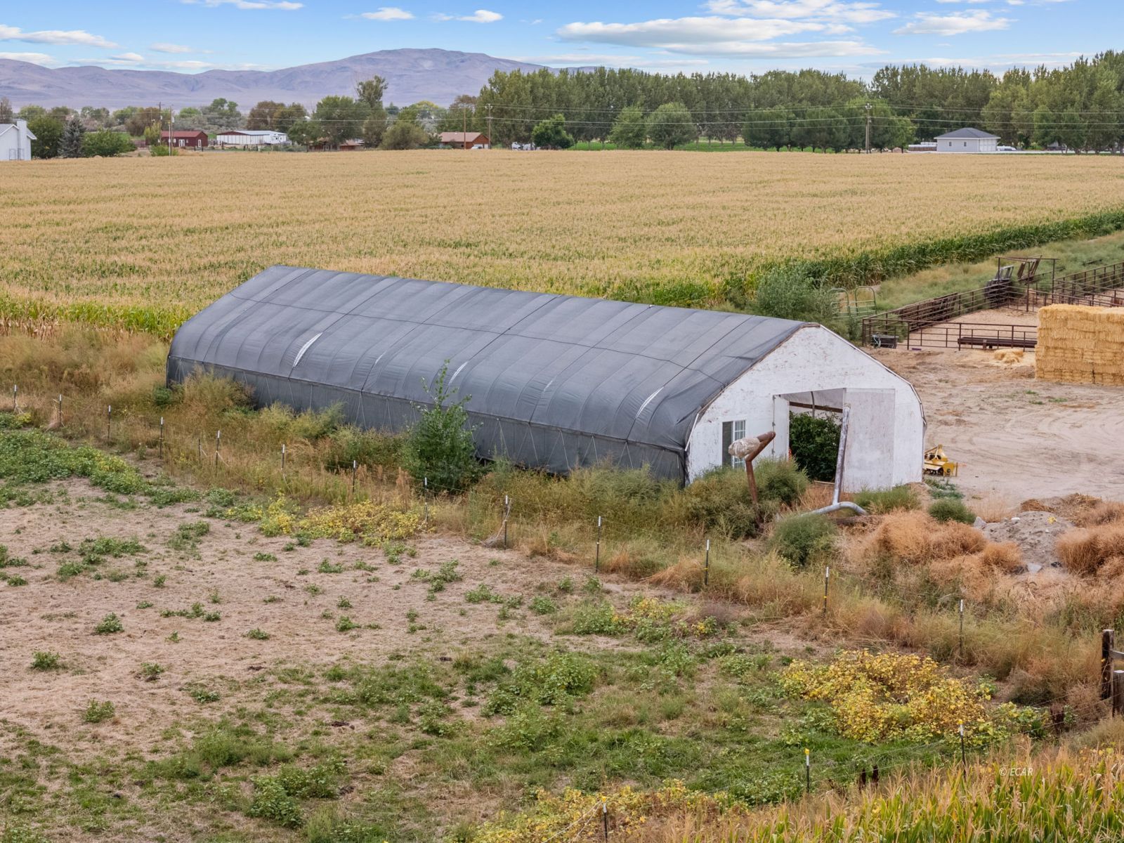 1001 Sheckler Cutoff Road Property Photo 5
