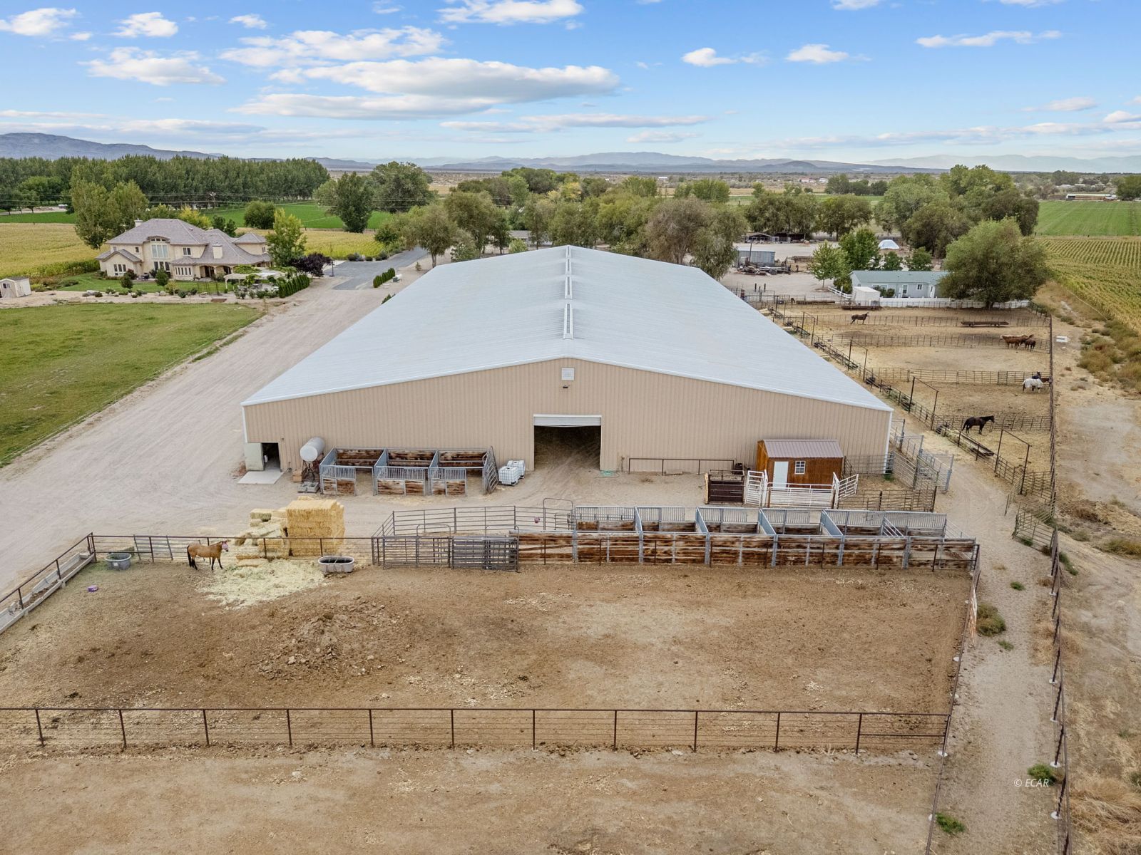 1001 Sheckler Cutoff Road Property Photo 6