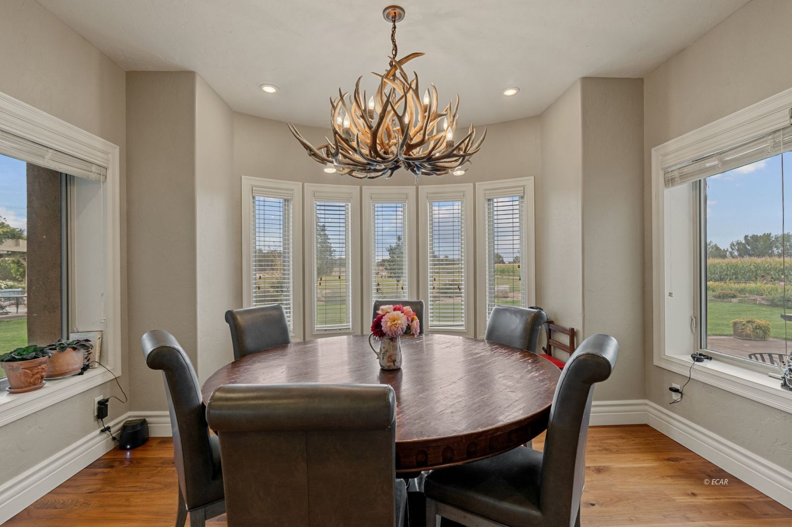 1001 Sheckler Cutoff Road Property Photo 23