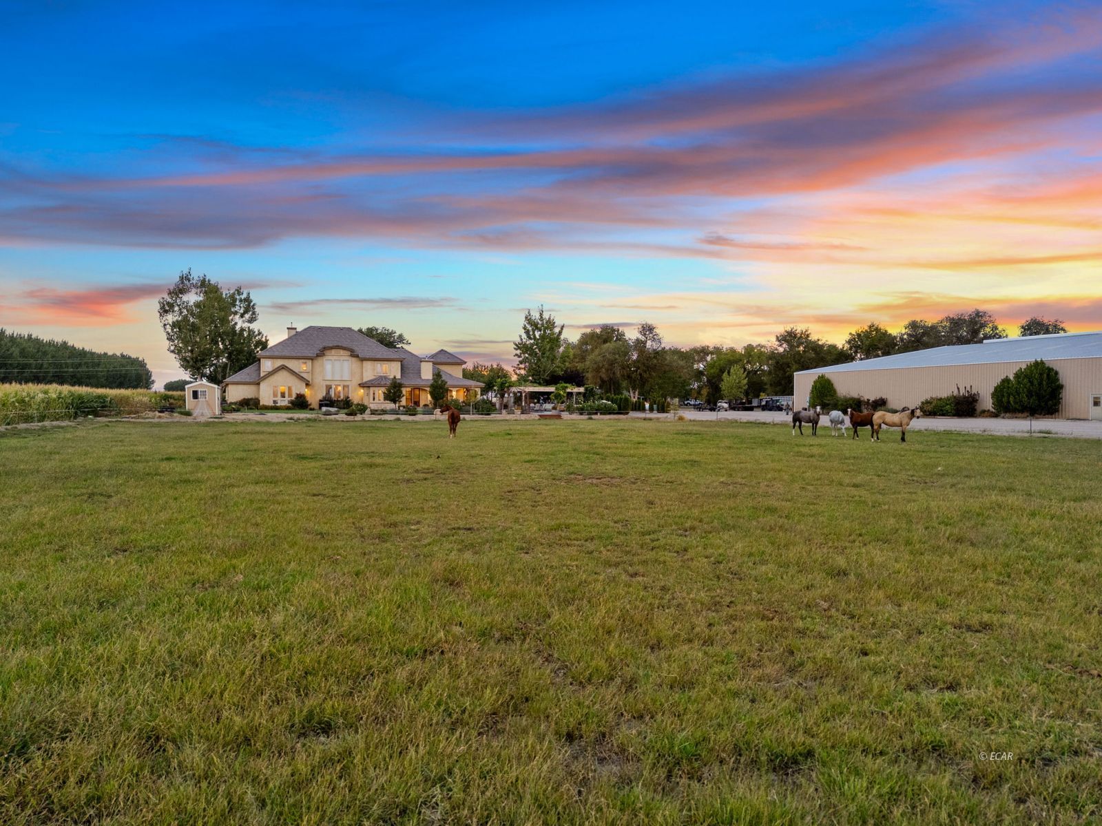 1001 Sheckler Cutoff Road Property Photo 47