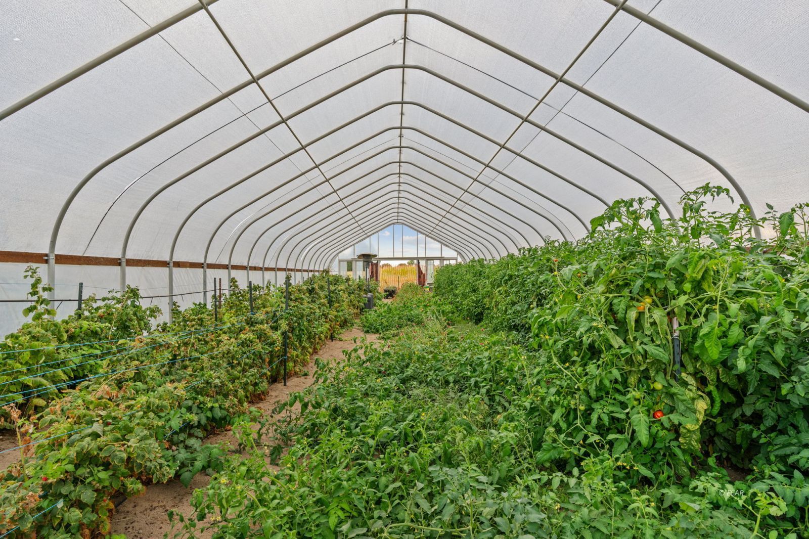 1001 Sheckler Cutoff Road Property Photo 49