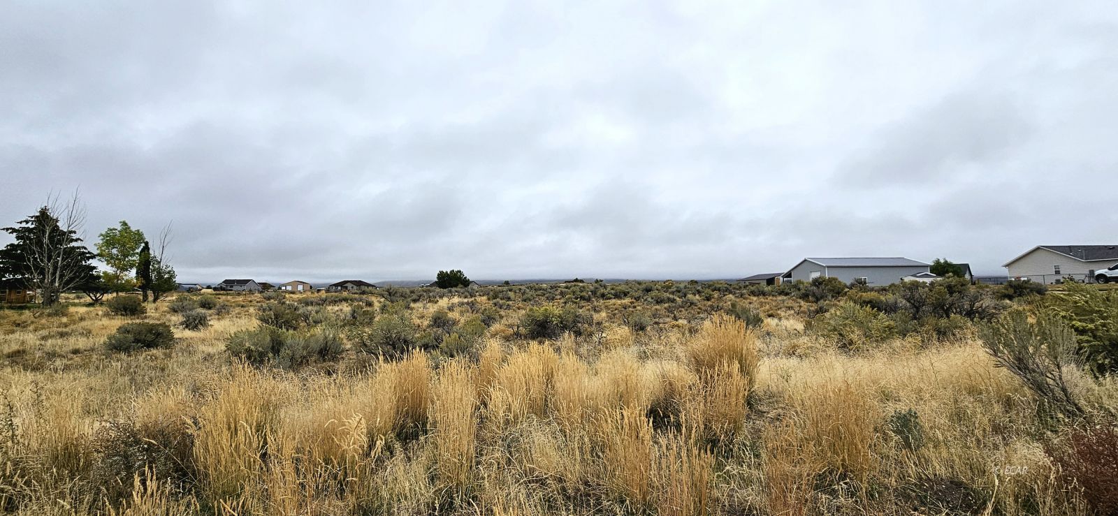 768 Alpine Drive Property Photo 3