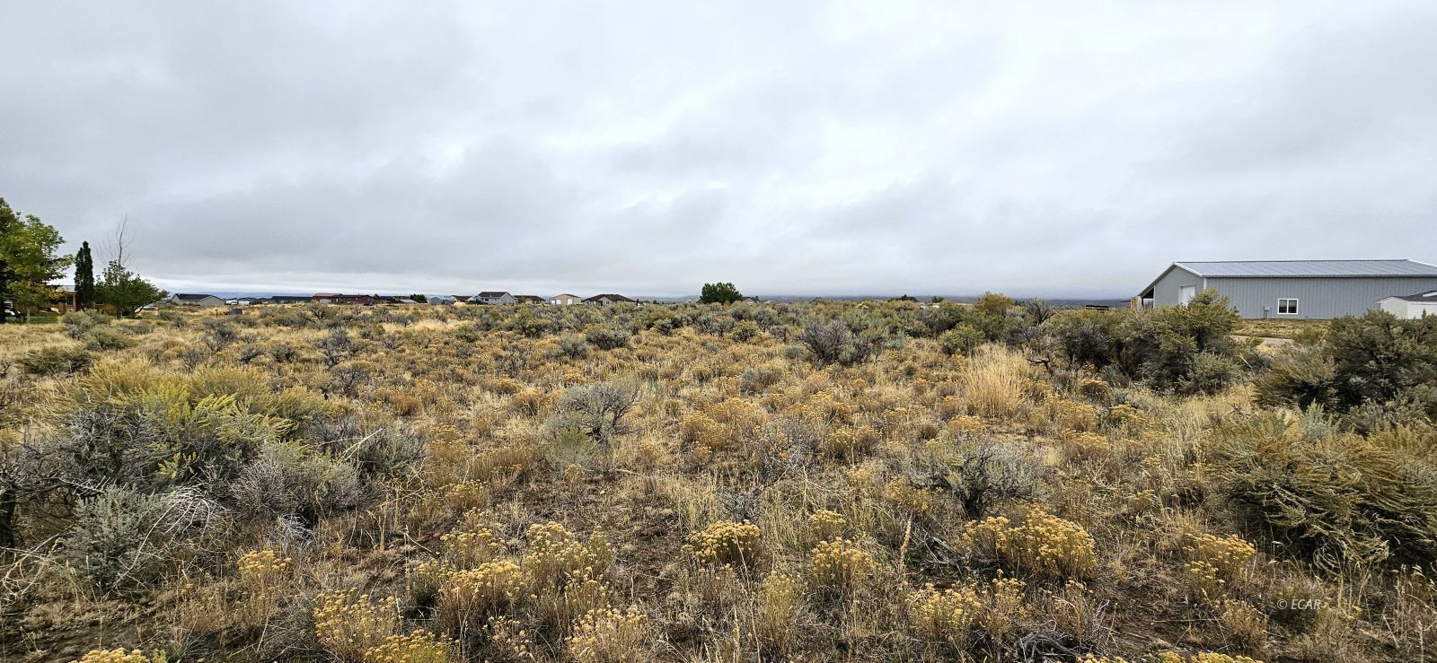 768 Alpine Drive Property Photo 5