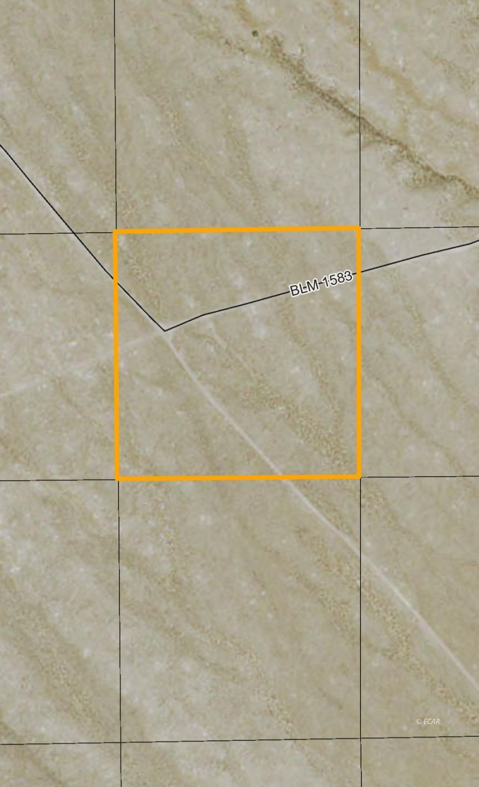 010-37f-018 Property Photo 5