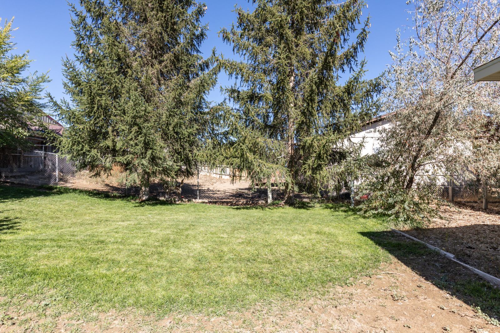 3313 Carlson Street Property Photo 24