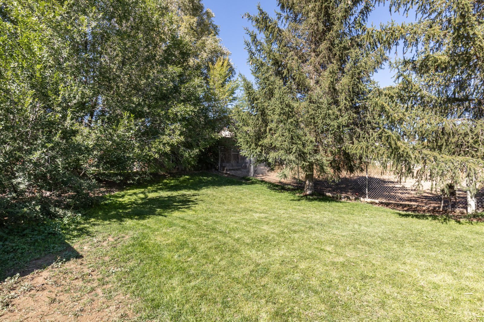 3313 Carlson Street Property Photo 25