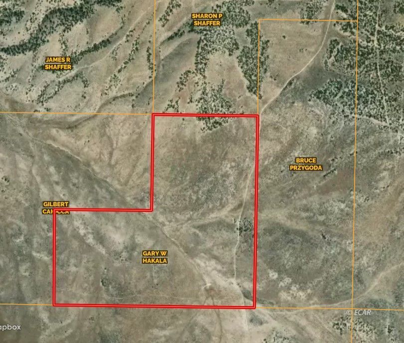 Winecup To Moor Road Property Photo 2