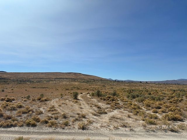 Winecup To Moor Road Property Photo 4